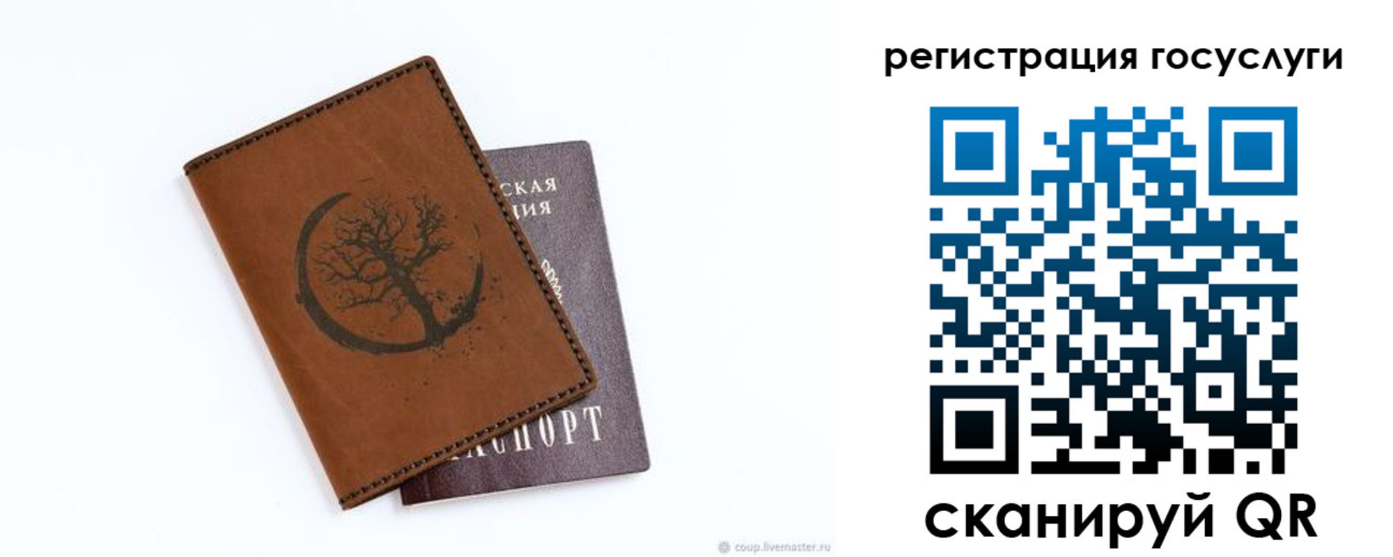 прописка для школы в Грязях
